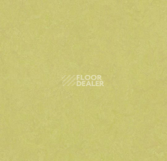 Линолеум Forbo Marmoleum Decibel on Order 388535 spring buds фото 1 | FLOORDEALER